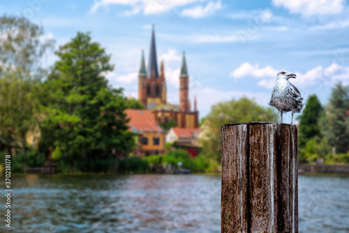 View to blurred shore of Werder, Havel, with Holy Spirit Church -Heilig Geist Kirche-, in the foreground a seagull on an iron post