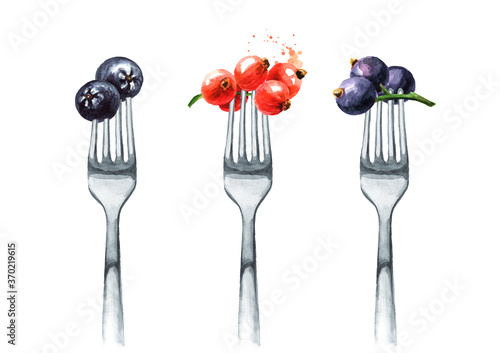 Garden berries set. Arnica, currant on a fork. Concept of diet and healthy eating. Hand drawn watercolor illustration isolated on white background