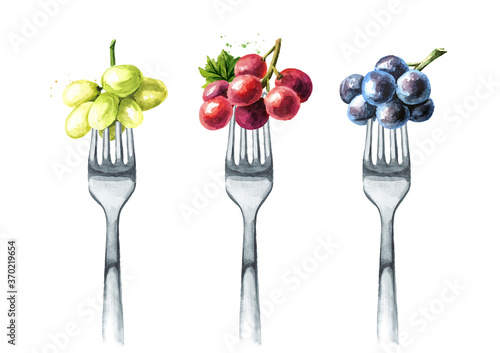 Grape berries on a fork. Concept of diet and healthy eating. Hand drawn watercolor illustration isolated on white background