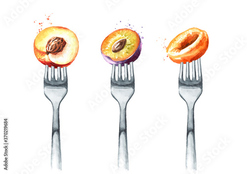 Plum, apricot, peach, nectarine on a fork. Concept of diet and healthy eating. Hand drawn watercolor illustration isolated on white background