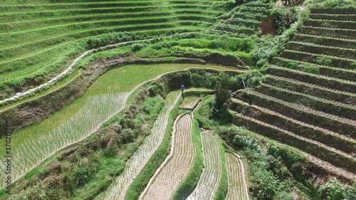 CINEMATIC AERIAL REVERSE WIDE SHOT OF AMAZING JINKENG RICE TERRACES LONGSHENG photo