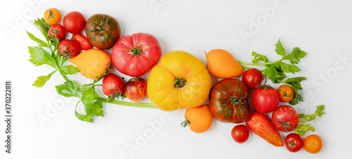 assortment of bright  ripe  multi-colored tomatoes  on a white worn background. the view from the top. concept of the harvest season