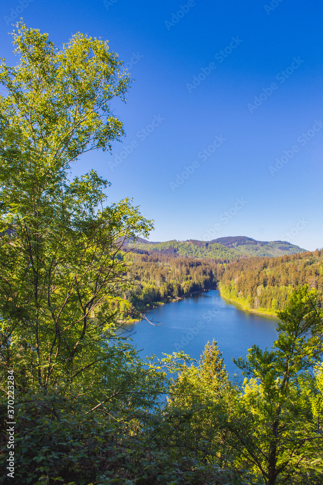 view of Granestausee reservoir and forest at Harz Mountains National Park, Germany view of Granestausee reservoir and forest at Harz Mountains National Park, Germany