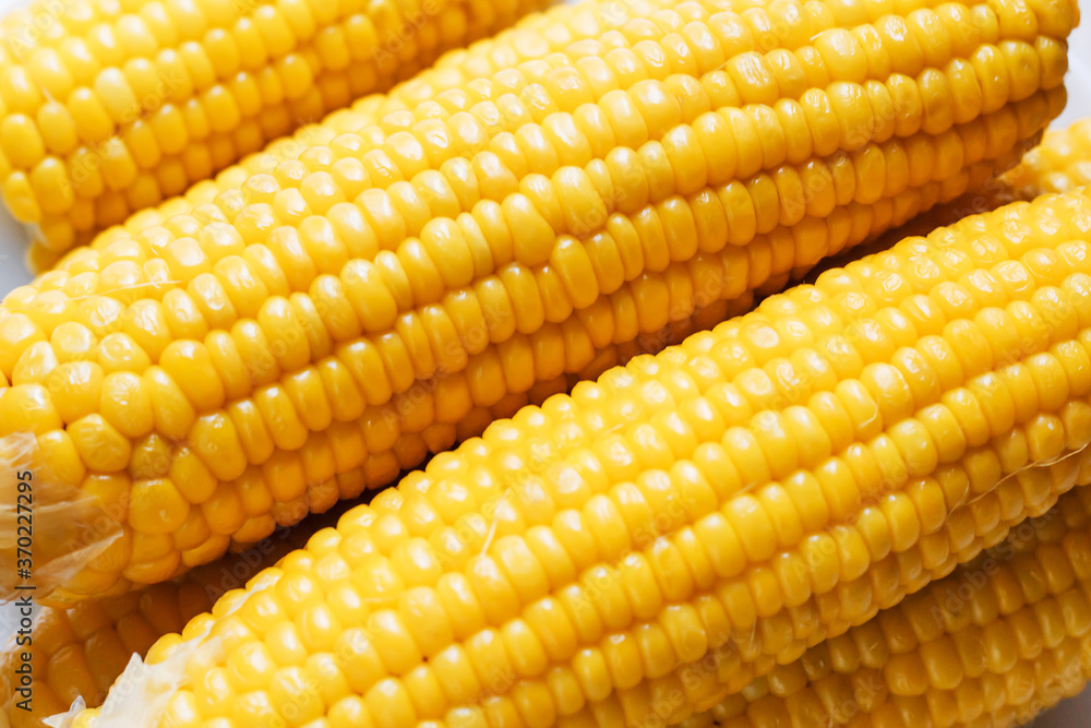 Boiled corn close up. Grains of sweet juicy corn. Cobs of boiled corn on a plate. Sweet corn. Healthy grains. Vegetarian food. A delicacy for children. Boiled corn close up. Grains of sweet juicy corn. Cobs of boiled corn on a plate. Sweet corn. Healthy grains. Vegetarian food. A delicacy for children.