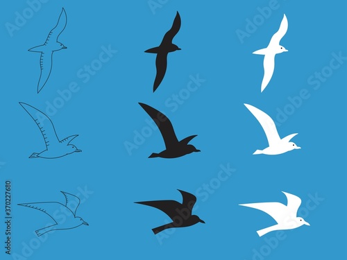 Seagulls flying in a blue sky. Cartoon Atlantic sea bird. White and black silhouettes and outline seagulls. Isolated birds for coloring  elements for decorations  mobile games  applications