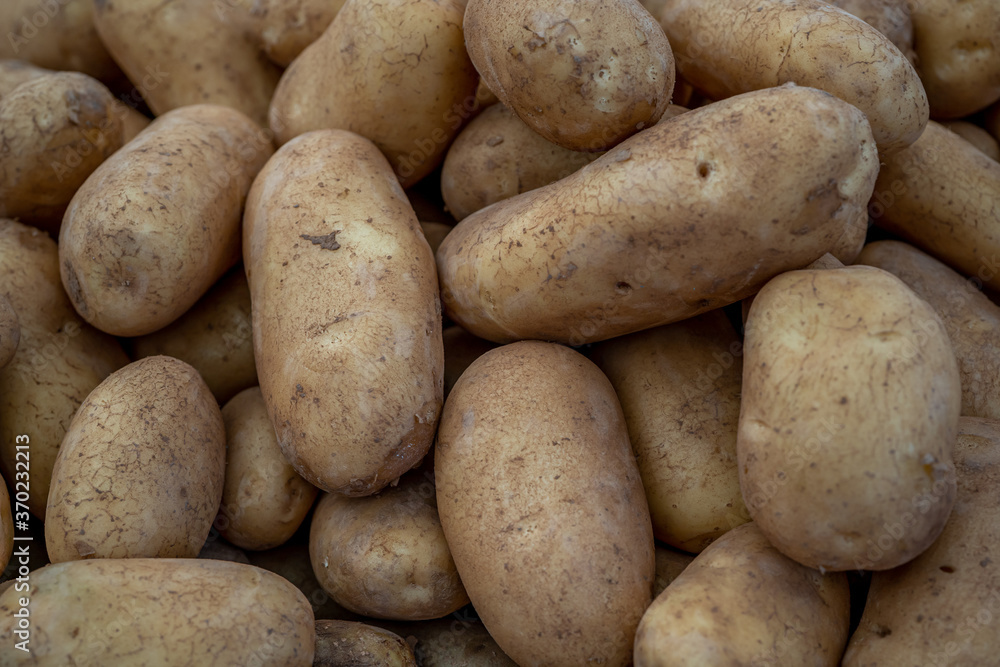 Fresh Organic Potato on Tray at the Farmer Market, Selective Focus. Macro photo Fresh Organic Potato on Tray at the Farmer Market, Selective Focus. Macro photo