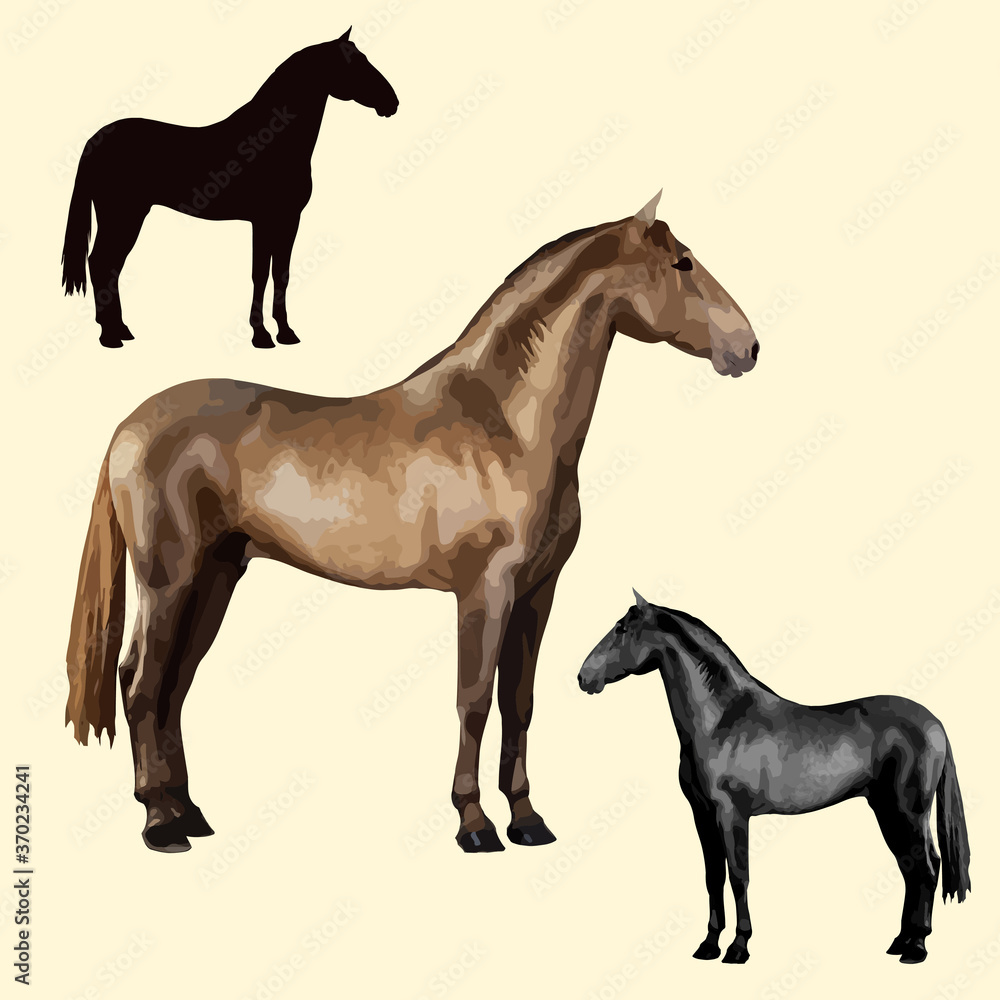 set of one realistic black silhouette and two isolated processed color images of beautiful horses standing still, on a white and colored background set of one realistic black silhouette and two isolated processed color images of beautiful horses standing still, on a white and colored background