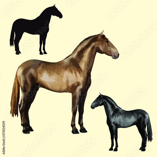set of one realistic black silhouette and two isolated processed color images of beautiful horses standing still, on a colored background