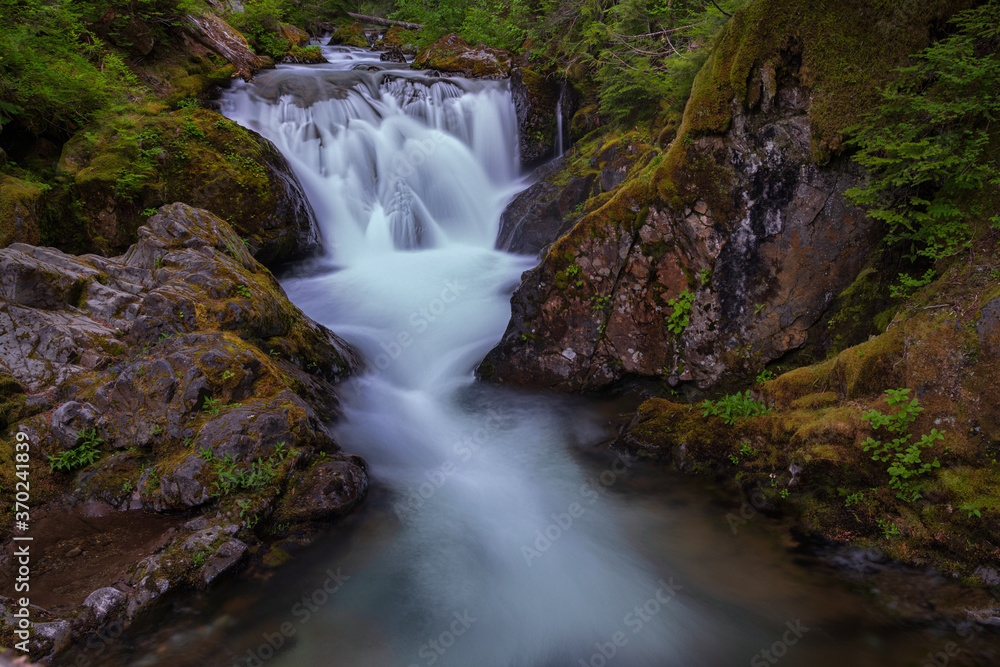 Fototapeta premium Gentle Waterfalls and Creek In Heavily Forested Western Washington State