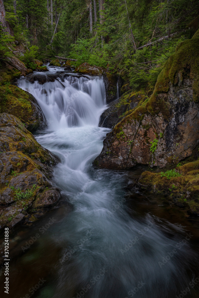 Gentle Waterfalls and Creek In Heavily Forested Western Washington State