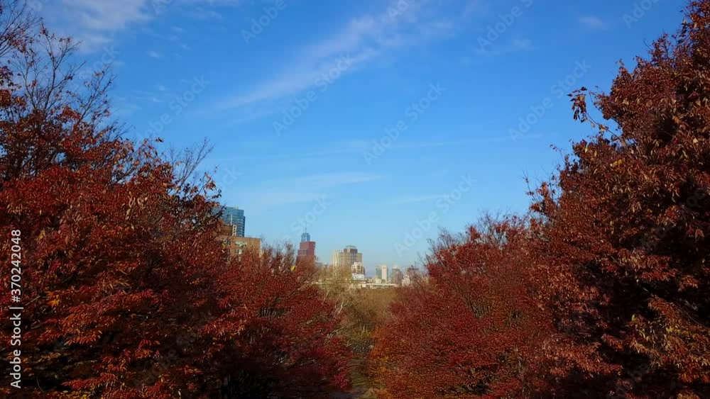 A View of Downtown Brooklyn from Ft. Green Park - 2 A View of Downtown Brooklyn from Ft. Green Park - 2
