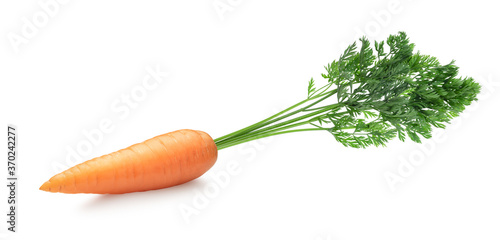 Carrot vegetable isolated on white