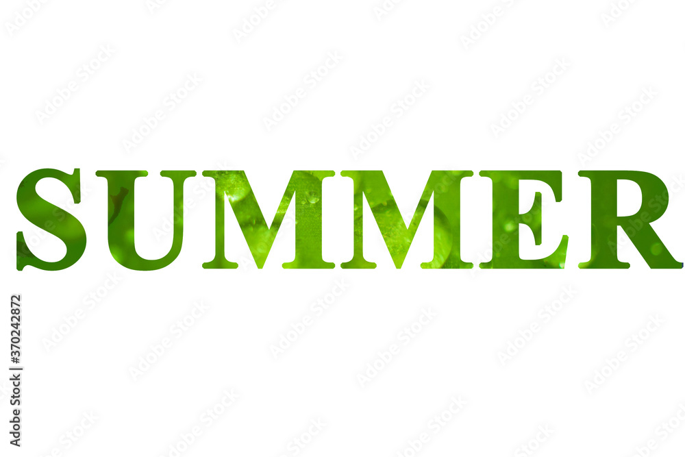 Text Summer on isolated white background. Water drops on fresh green leaf. Natural background. Text Summer on isolated white background. Water drops on fresh green leaf. Natural background.