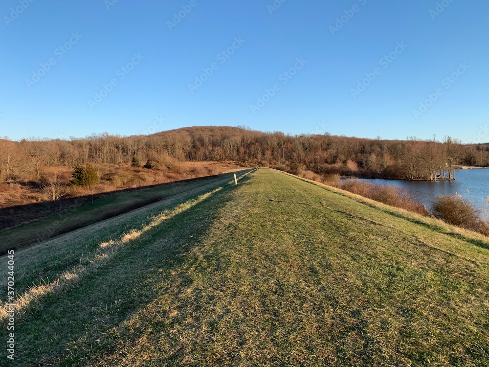 Naklejka premium country path in autumn