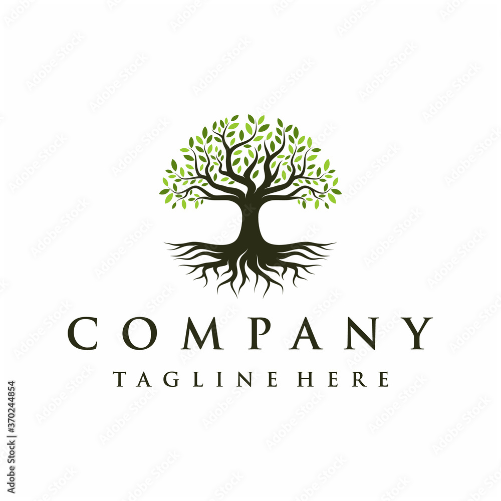 Obraz premium Abstract Vibrant Oak Banyan tree logo design, tree and root vector. Tree of life logo design inspiration