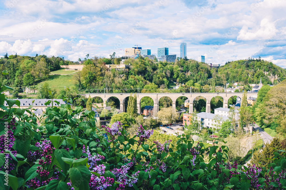 Obraz premium Landscape photography with lilac, bridge and houses