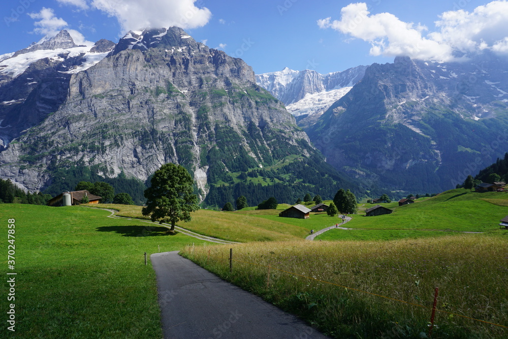 Fototapeta premium swiss alps in the alps