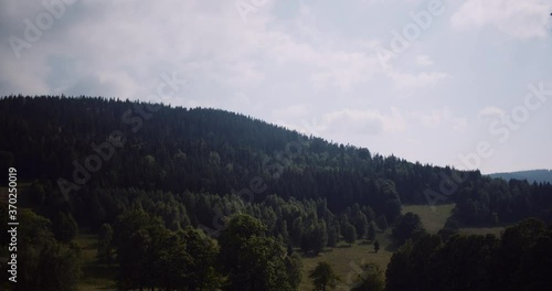 Beautiful View of Forest and Fields Aerial photo