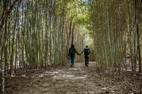 Obraz na płótnie Unrecognizable couple holding hands walks down a path full of bamboo. Concept of love. w salonie