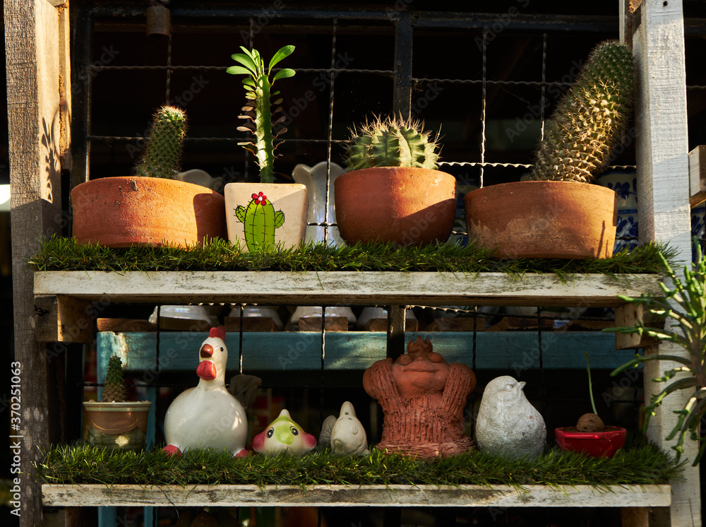 The potted cactus and succulent on the rustic shelf