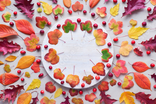Fall circular background with various Autumn leaves, red, orange and yellow. Flat lay on white stone background.