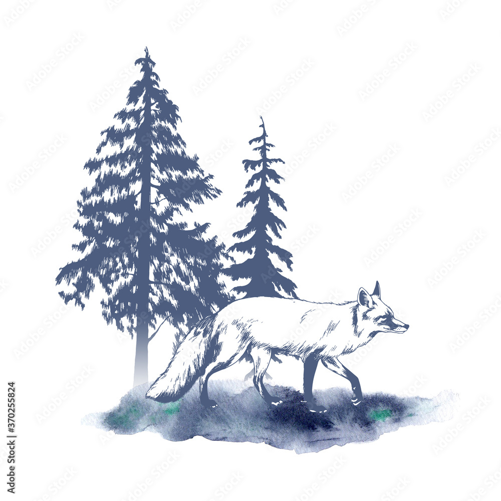 Walking fox monochrome hand drawn sketch. Wildlife illustration with watercolor background. Forest animal. Tree silhouette. Walking fox monochrome hand drawn sketch. Wildlife illustration with watercolor background. Forest animal. Tree silhouette.