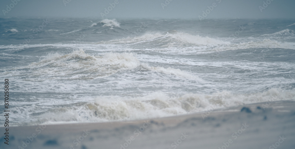 Fototapeta premium driving 4x4 on fort fisher park beach in north carolina