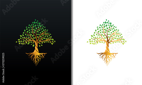 Tree of life with rays design vector gold and green gradient isolated on black and white background