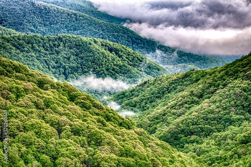Canvas Print foggy morning in blue ridge mountains picnic area