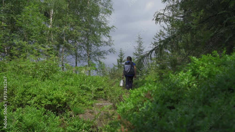 Boy walking alone In the forest with aluminium can full of blueberries. Summertime In the Woods. Boy walking alone In the forest with aluminium can full of blueberries. Summertime In the Woods.