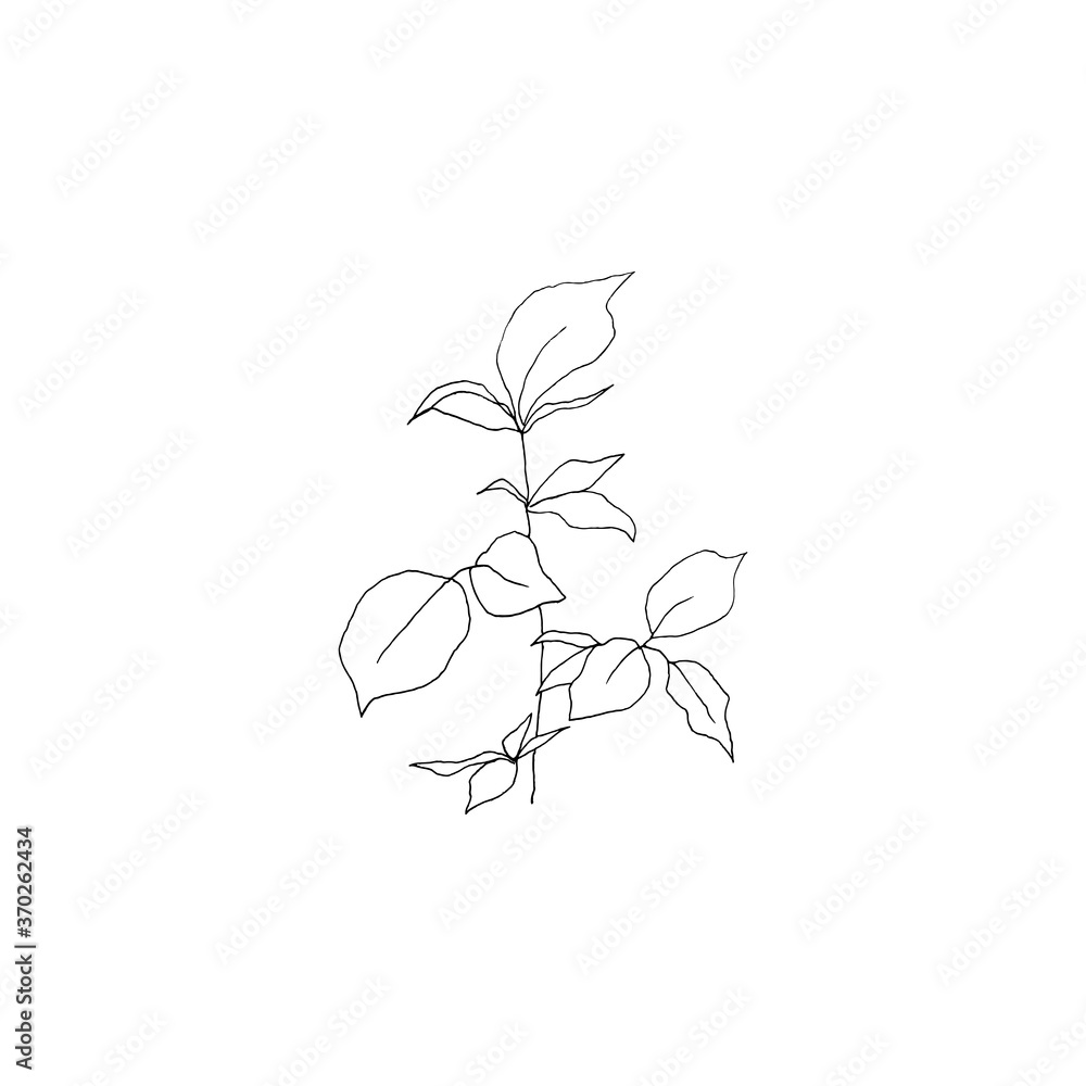 Simple and clean hand drawn floral. Sketch style botanical illustration. Great for invitation, greeting card, packages, wrapping, etc. Simple and clean hand drawn floral. Sketch style botanical illustration. Great for invitation, greeting card, packages, wrapping, etc.