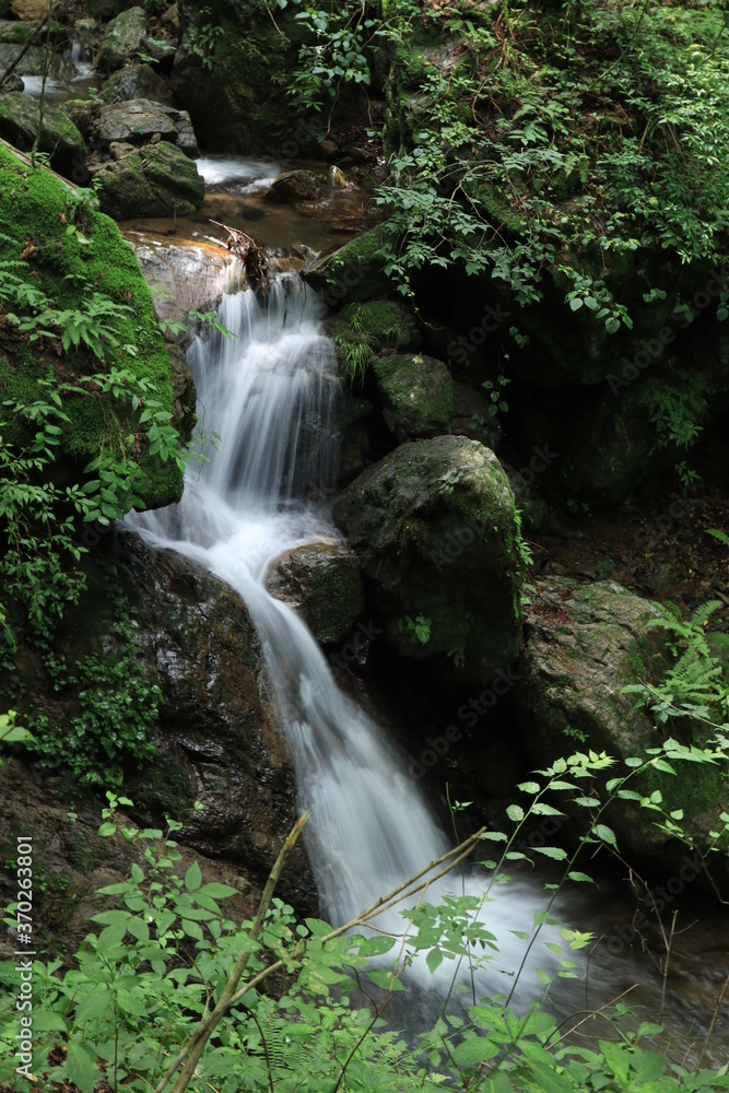 Natural landscape in mitake mountain , japan ,tokyo Natural landscape in mitake mountain , japan ,tokyo
