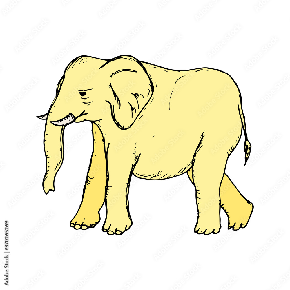 Fototapeta premium Elephant hand drawn icon vector