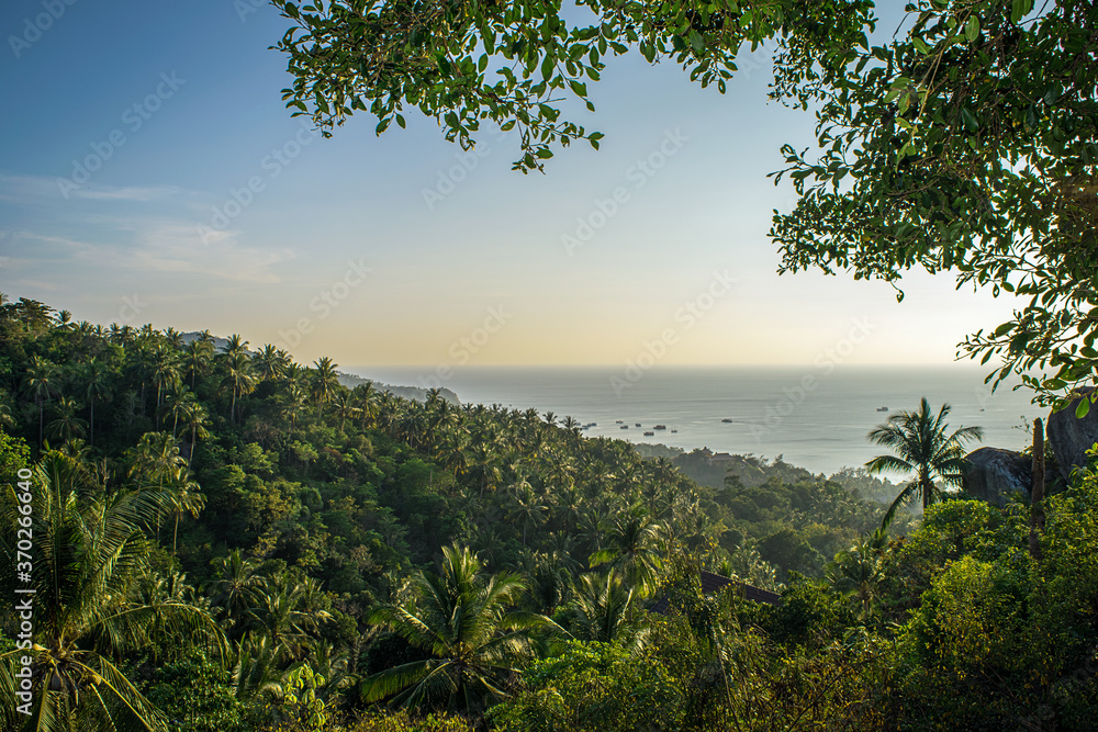 Jungle island sea view