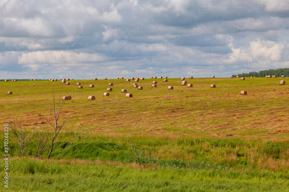 Bales of cut grass scattered randomly across the field Bales of cut grass scattered randomly across the field