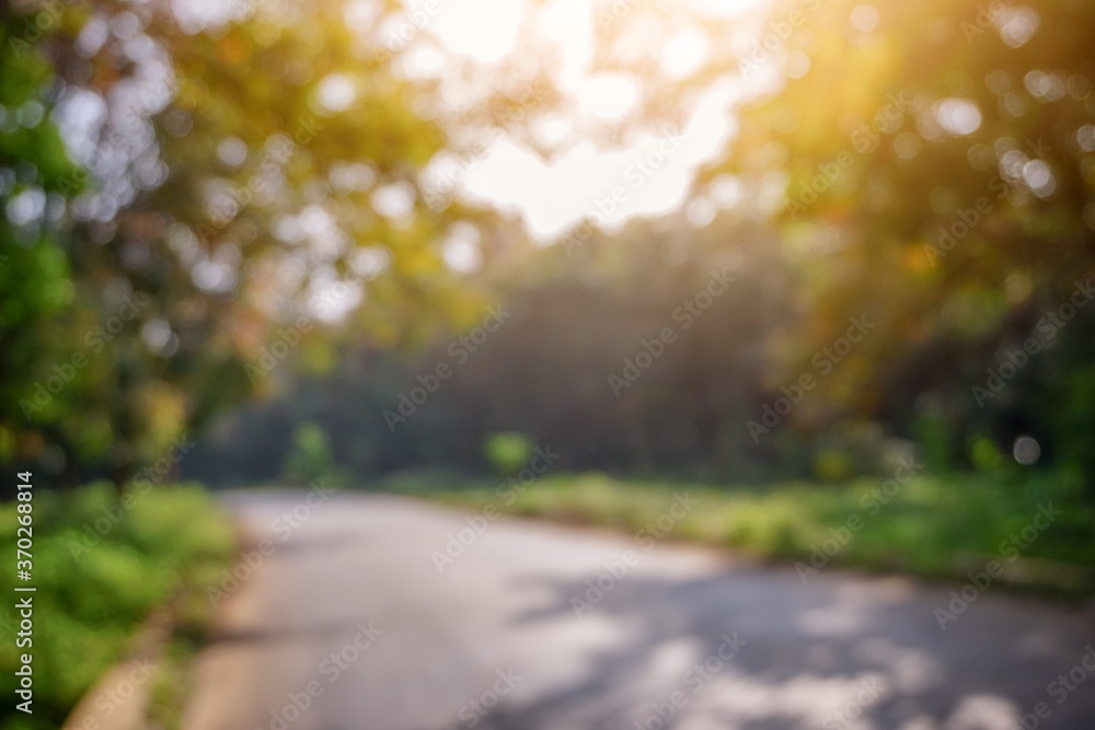 Blurred road in autumn forest. Bokeh images for background 