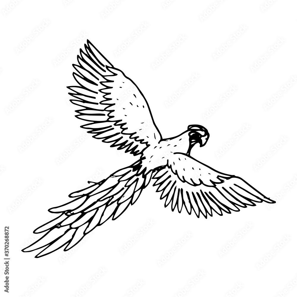Naklejka premium Parrot hand drawn icon
