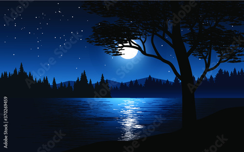 night landscape with trees and moon photo