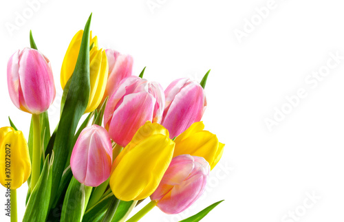 Bouquet of pink and yellow tulip flowers isolated on white