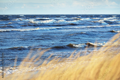 Fototapeta Naklejka Na Ścianę i Meble -  A view the Baltic sea shore at sunset. Sand dunes and plants (dune grass, Ammóphila) close-up. Waves and water splashes. Idyllic seascape. Early spring in Latvia. Eco tourism, environment, ecology