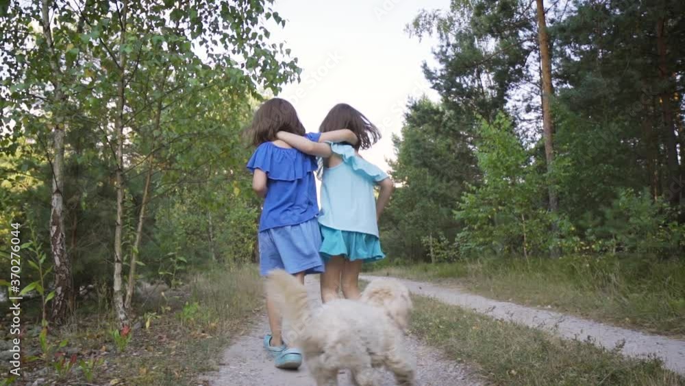 two cute girls are walking along the forest road and talking two cute girls are walking along the forest road and talking