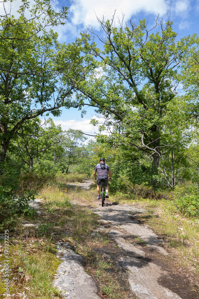 Man riding a mountain bike through the forest at Torrance Barrens in Muskoka