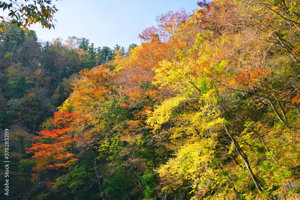 秋の猊鼻渓で見る紅葉