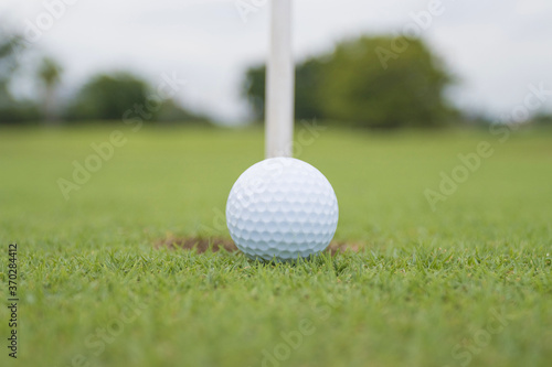 Golf ball on grass in golf course infront of the green