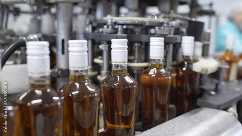 Glass bottles filled with prune tincture move along conveyor line with control panel in modern distillery for bottling alcoholic beverages. Production process of alcoholic beverages in factory.
