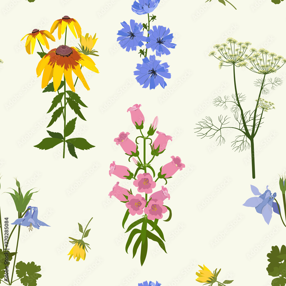 Seamless vector illustration with flowers of rudbeckia, campanula, aquilegia and chicory .
