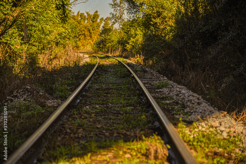Disabled train tracks on abandoned railroad in Brazil Disabled train tracks on abandoned railroad in Brazil