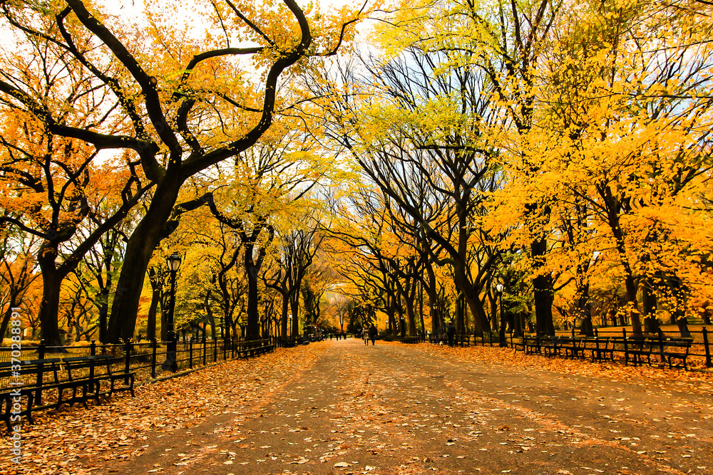 Naklejka premium Autumn in Central Park