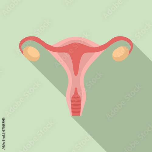 Woman uterus icon. Flat illustration of woman uterus vector icon for web design