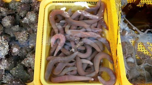Spoon worms (Urechis unicinctus) or penis fish for sale at Jagalchi Fish Market Busan, South Korea. photo